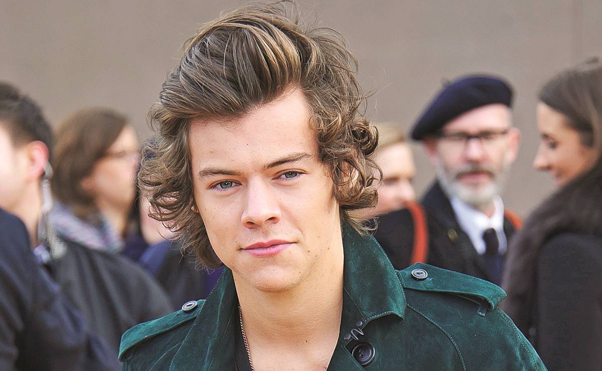 Harry Styles con vestido Gucci y crinolina: el primer hombre que posa para  Vogue | Revista Clase