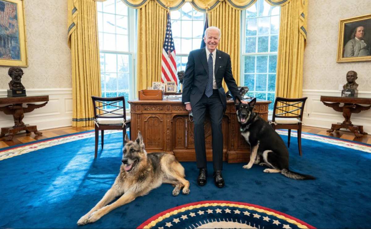 Joe Biden, Jill Biden, Mascotas