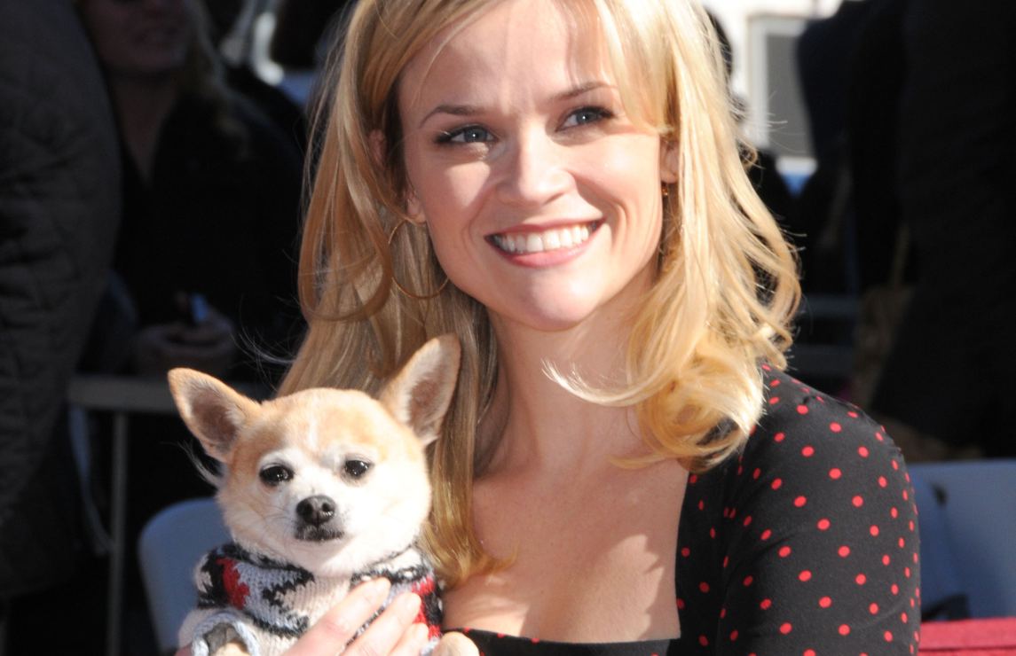 legalmente rubia, reese witherspoon, legally blonde